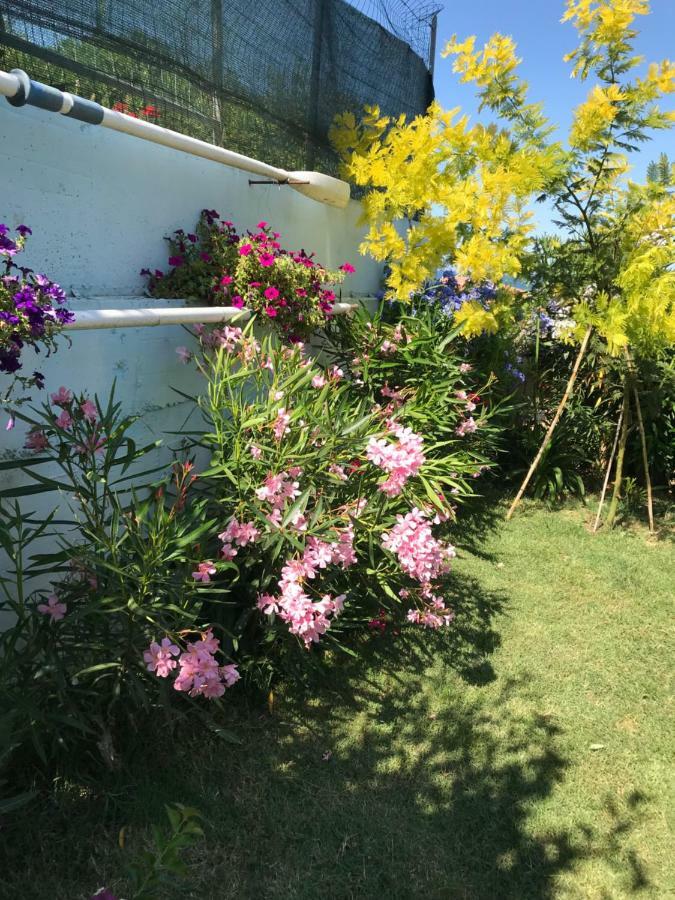 Bed and Breakfast Casa "La Conchiglia" Civitanova Marche Exterior foto